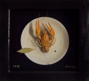 Рак, 2019.