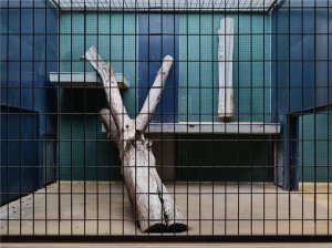 Без названия, 2017.