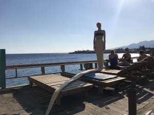  Серия «Змея на каникулах» кадр 8, 2019.