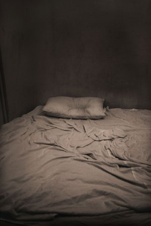 Без названия, 2014